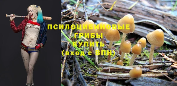 mdma Нефтекумск