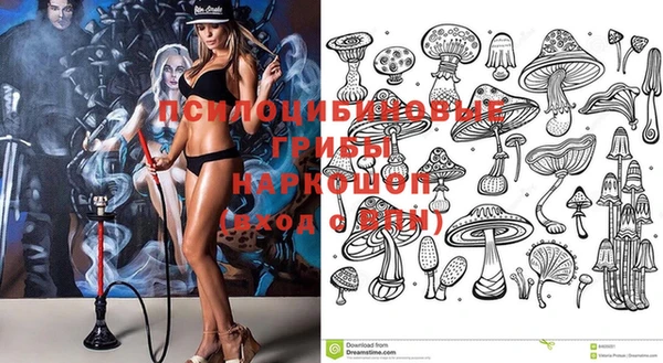 твердый Нея