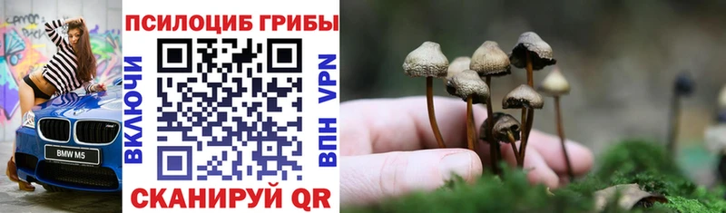 наркотики  Реутов  Галлюциногенные грибы прущие грибы 