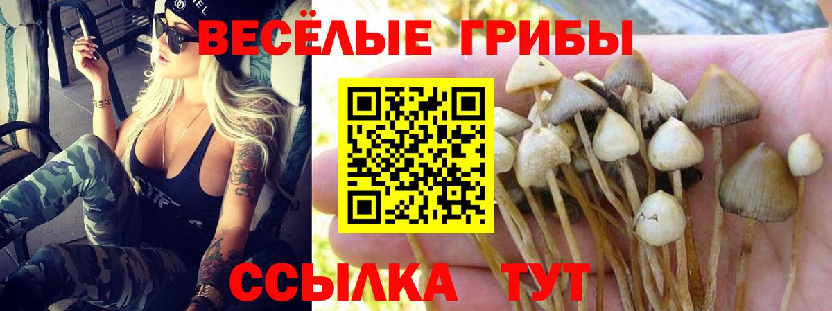Псилоцибиновые грибы Psilocybine cubensis  Псилоцибиновые грибы мухоморы  Вход с VPN  Реутов 
